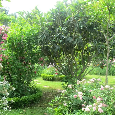 Appartamento With Parking Space - 21512 *